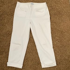 Anna Taylor Loft- petites stretch (8p) Pants